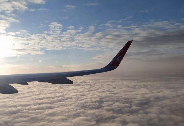 Turkish Airlines sets new maximum price level for domestic flights