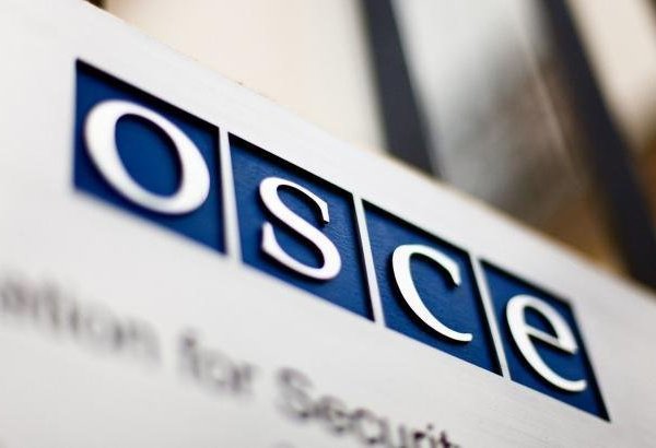 Azerbaijan counts OSCE PA delegates to observe presidential election