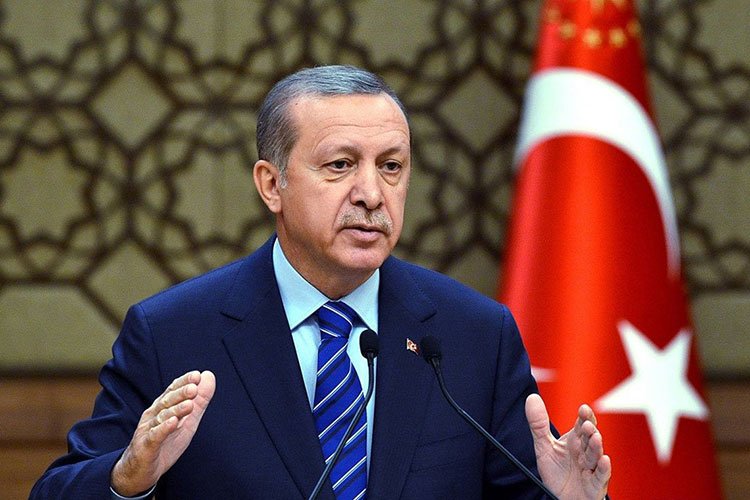 МВД расследует причины одновременного возникновения лесных пожаров - Эрдоган