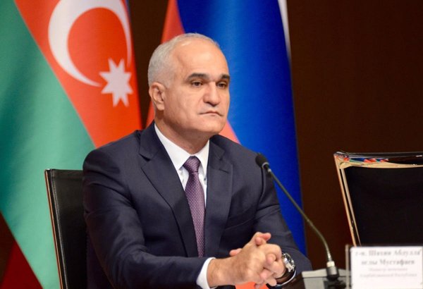 Российские компании предложили Азербайджану 13 пакетов предложений для участия в работах в Карабахе – Шахин Мустафаев