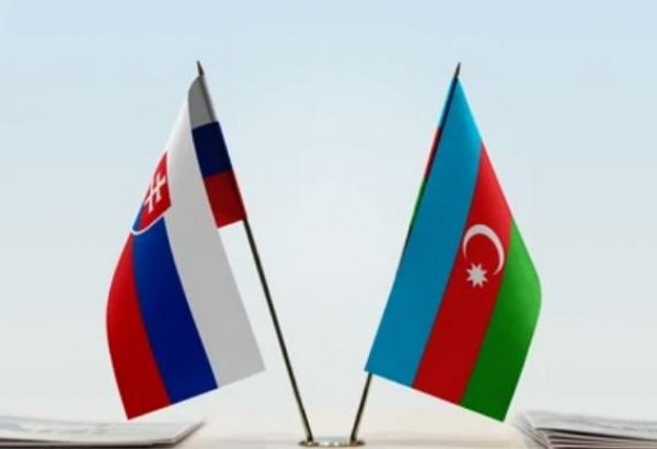Подписана совместная декларация о стратегическом сотрудничестве между Азербайджаном и Словакией