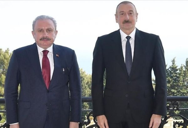 Azerbaycan Cumhurbaşkanı İlham Aliyev, TBMM Başkanı Mustafa Şentop'u kabul etti