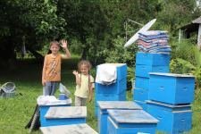 В Азербайджане для малообеспеченной молодежи созданы пчеловодческие хозяйства