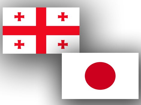 Японская корпорация заинтересована в производстве «зеленого» водорода в Грузии