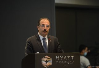 Граждане Турции, проживающие в Азербайджане, могут голосовать в консульствах - Джахит Багчи