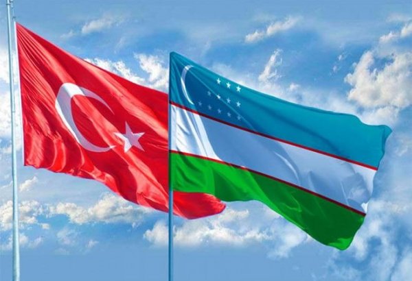 Турция окажет содействие в продвижении реформ в Узбекистане