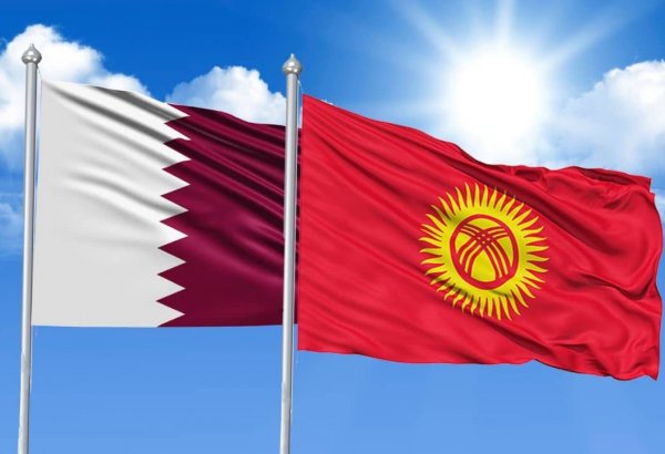 Foreign ministers of Kyrgyzstan, Qatar discuss whole range of bilateral co-op