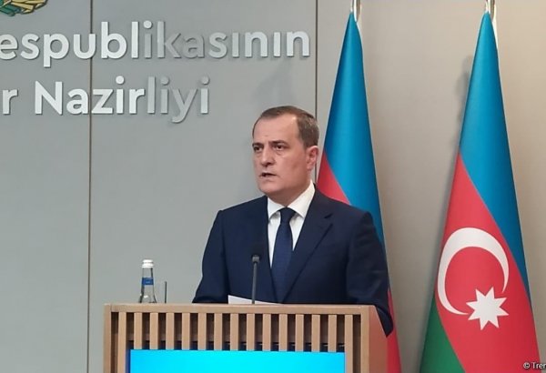 Армения должна сделать выбор – глава МИД Азербайджана