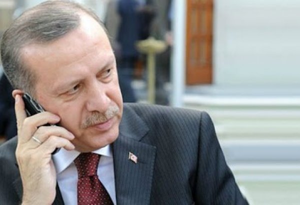 Эрдоган обсудил с канцлером Австрии ситуацию в Украине