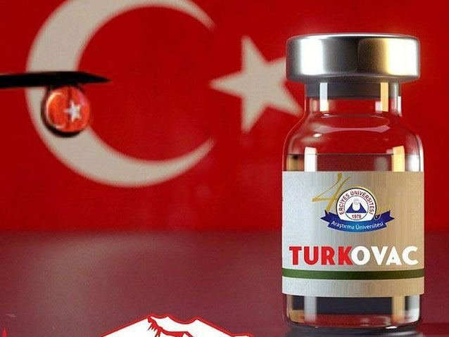Британия признала сертификат вакцинации Турции