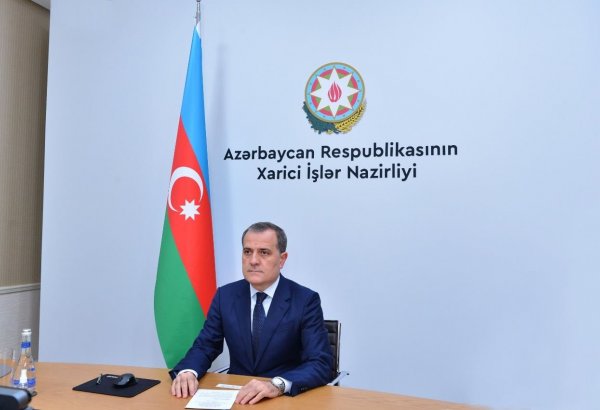 Страны-члены Движения неприсоединения смогли объединиться перед лицом общего врага - глава МИД Азербайджана