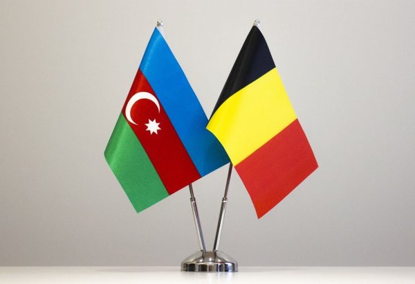 Belgium's participation in Azerbaijan's RES auctions to create new opportunities for co-op – minister
