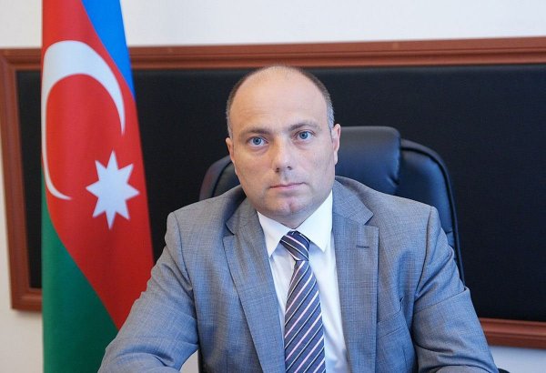 Sustainable peace is required to build culture – Azerbaijani minister