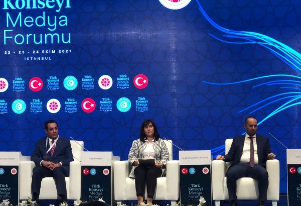 Проект TURKIC.World представлен на медиа-форуме Тюркского совета