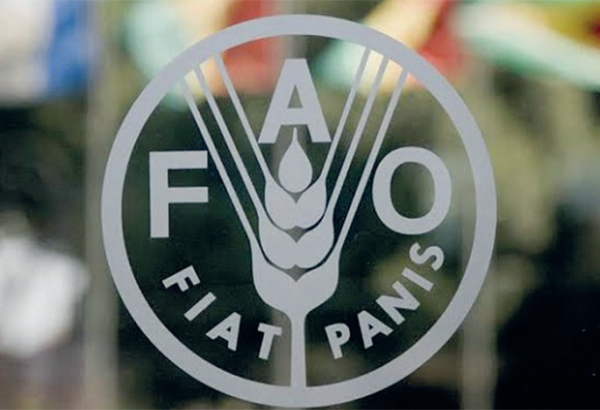 Azerbaijan extends term of agreement on partnership program with FAO