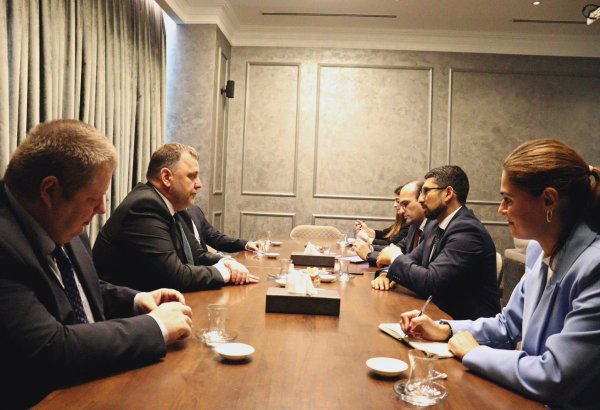 Состоялась встреча главы Фонда Возрождения Карабаха с делегацией парламента Эстонии