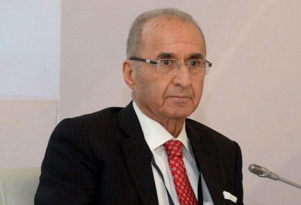Armenian diaspora puts serious pressure on Armenia - ex-Turkish FM