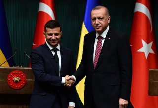 Türkiyə və Ukrayna prezidentləri "taxıl dəhlizi"ni müzakirə ediblər