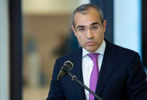 Azerbaijani KOBIA’s activity deserves praise in direction of building and developing business - minister