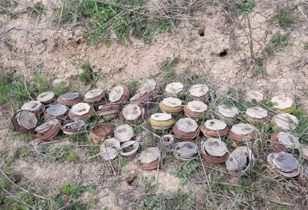 Large number of ammunitions collected from abandoned Armenian positions in Azerbaijan’s Khojavand