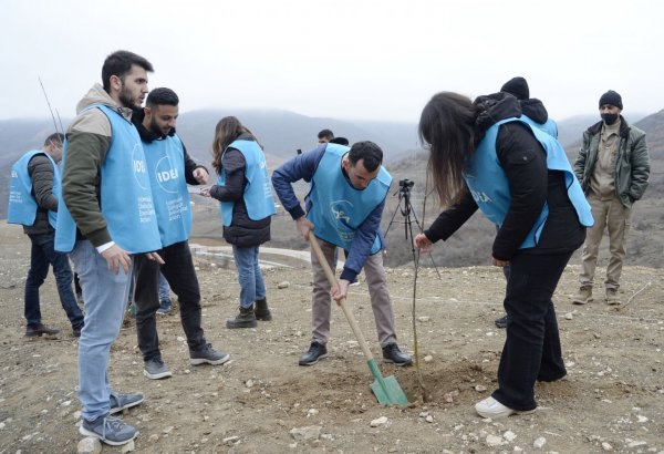 Tree planting held in Azerbaijan’s Shusha at initiative of vice-president of Heydar Aliyev Foundation Leyla Aliyeva