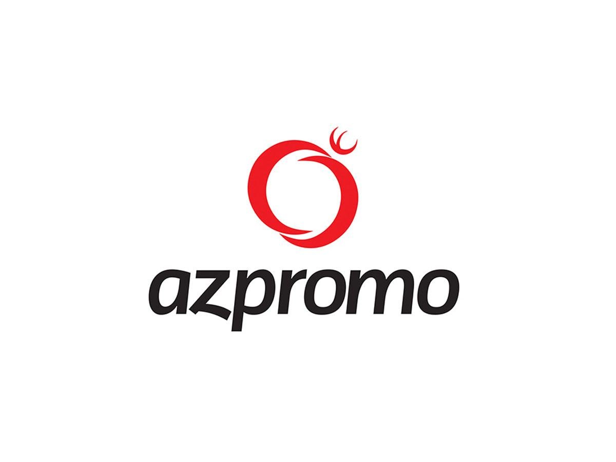 Для иностранных инвесторов в Карабахе существует много возможностей - AZPROMO