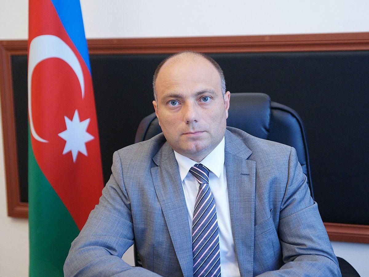 В список приоритетов Азербайджана до 2030 г. также входит развитие культурных и творческих отраслей - Анар Керимов