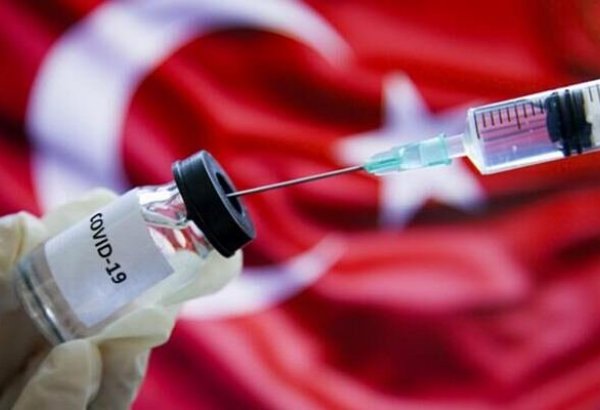 В Турции одобрили применение отечественной вакцины от коронавируса
