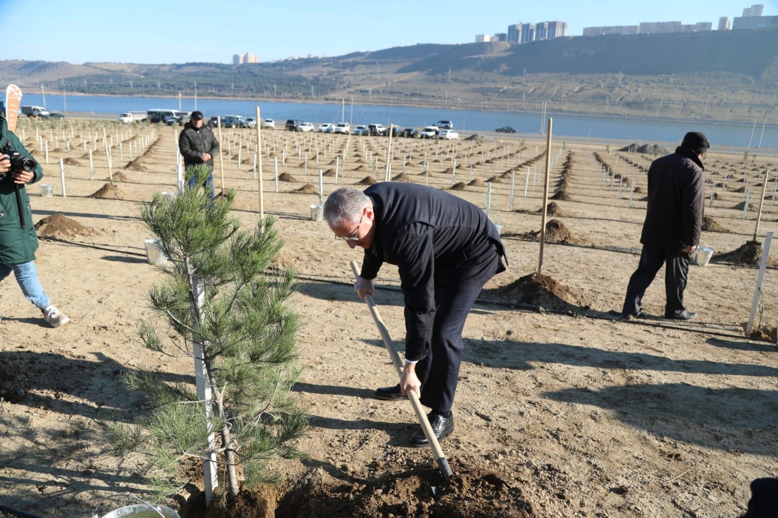 В Баку прошла акция по посадке деревьев, приуроченная к 60-летнему юбилею Президента Ильхама Алиева