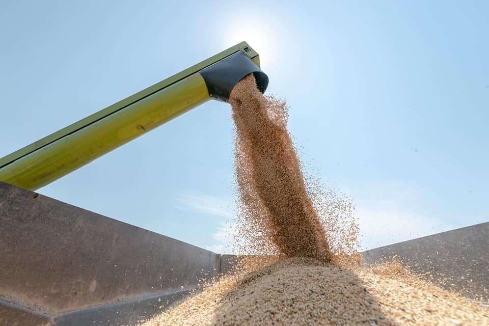 Еврокомиссия не продлила эмбарго на импорт украинского зерна