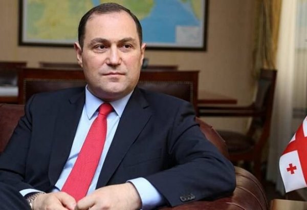 Georgia will not attend 3+3 Caucasus platform in Turkey: Envoy