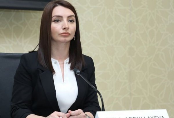 Ожидаем, что виновные в провокации против посольства Азербайджана в Лондоне будут привлечены к ответственности – Лейла Абдуллаева