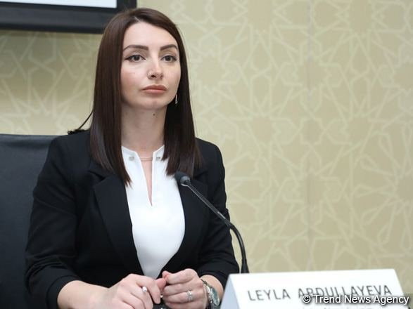 Ожидаем, что виновные в провокации против посольства Азербайджана в Лондоне будут привлечены к ответственности – Лейла Абдуллаева