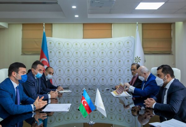 В Баку обсудили возможности сотрудничества между МСБ Азербайджана и Катара