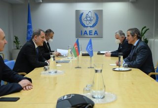 Azerbaijan's FM meets with head of IAEA in Vienna