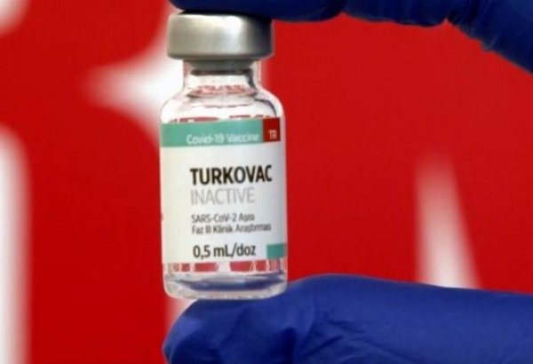 Azerbaijan eyes holding clinical trials of Turkovac COVID-19 vaccine soon