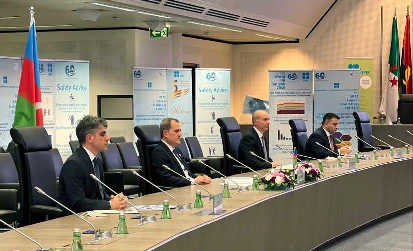 Azerbaijani FM meets with OPEC Secretary General