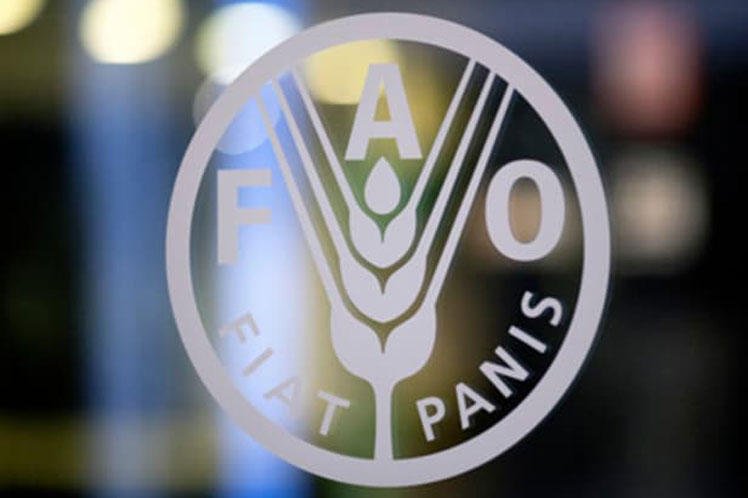Kazakhstan, FAO map out strategy for agriculture dev't until 2025