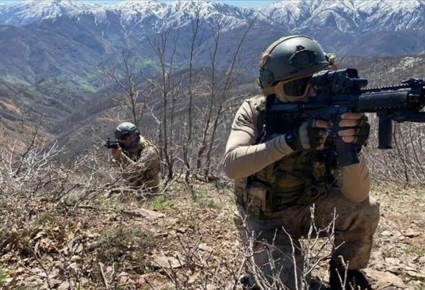Türkiyə ordusu Suriyanın şimalında 2 gündə 43 terrorçunu zərərsizləşdirib