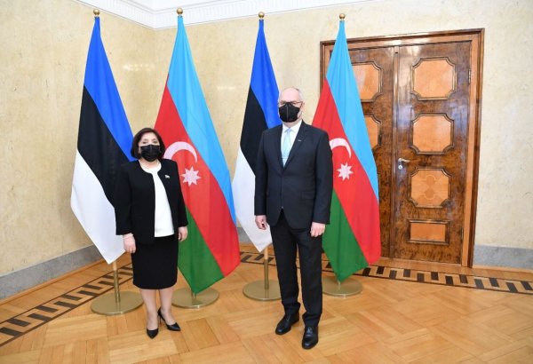 Баку и Таллин имеют хороший потенциал для продолжения развития сотрудничества - Президент Эстонии