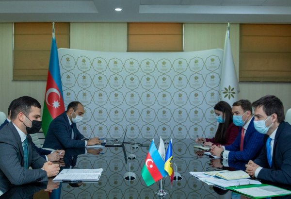 Moldova interested in organizing mutual visits and events with Azerbaijani businessmen - FM