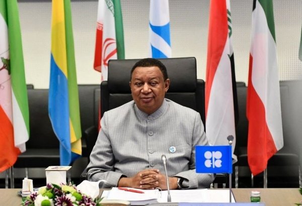 President Aliyev was first head of state to propose forward-looking idea of advancing oil market coordination – OPEC’s Barkindo
