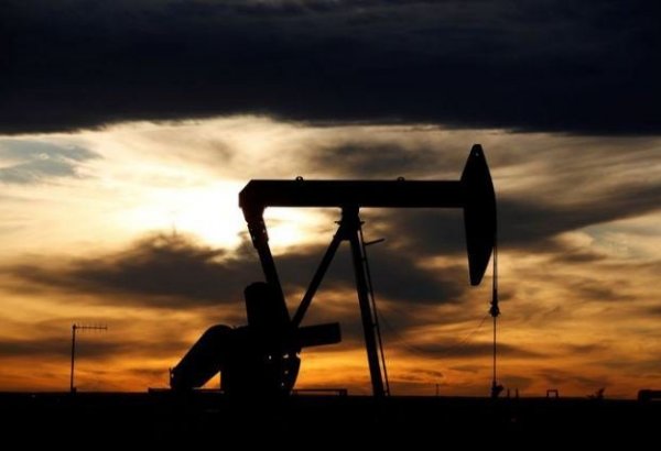 Вклад нового месторождения нефти в экономику Турции составит $2,9 млрд