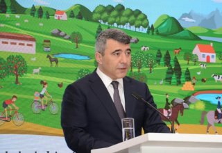 FAO, EU support Azerbaijan in development of agritourism - minister