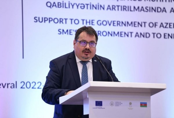 Делегация ЕС в Азербайджане окажет финансовую помощь местному бизнесу - Петер Михалко