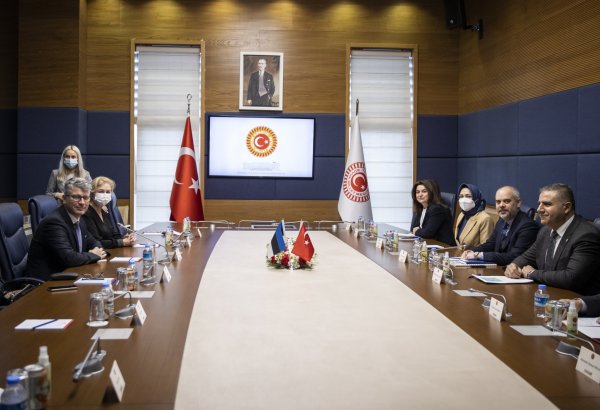The Head of Turkey-Estonia parliamentary committee hails ties