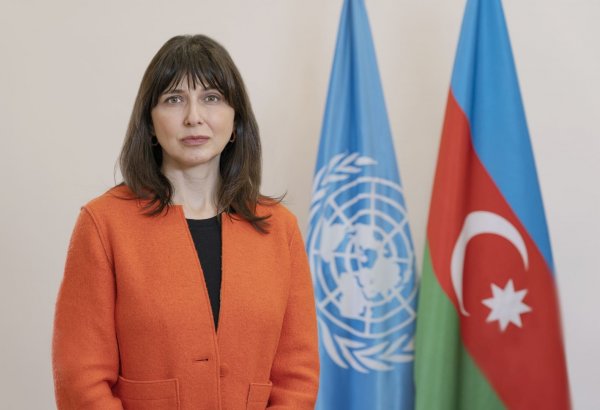 Резидент-координатор ООН поздравила азербайджанских дипломатов с профессиональным праздником