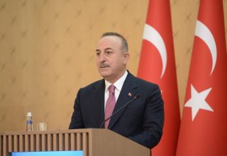 Armenia must show adequate approach on peace treaty with Azerbaijan - Turkish FM