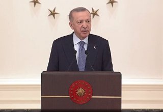 Турция обеспечивает своих граждан бесплатным средним и высшим образованием - Эрдоган