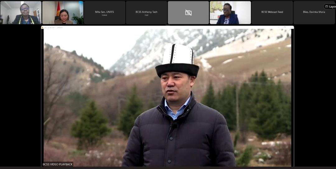 Кыргызстандын демилгеси менен БУУда эл аралык токойлор күнүнө карата иш-чара өттү